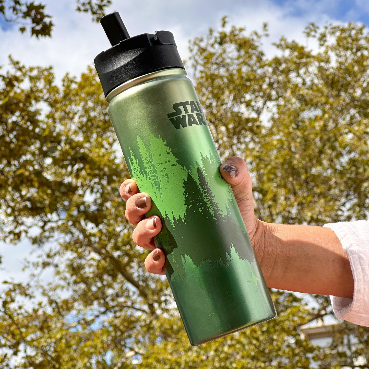 Star Wars™  Endor™ Stainless Steel Water Bottle